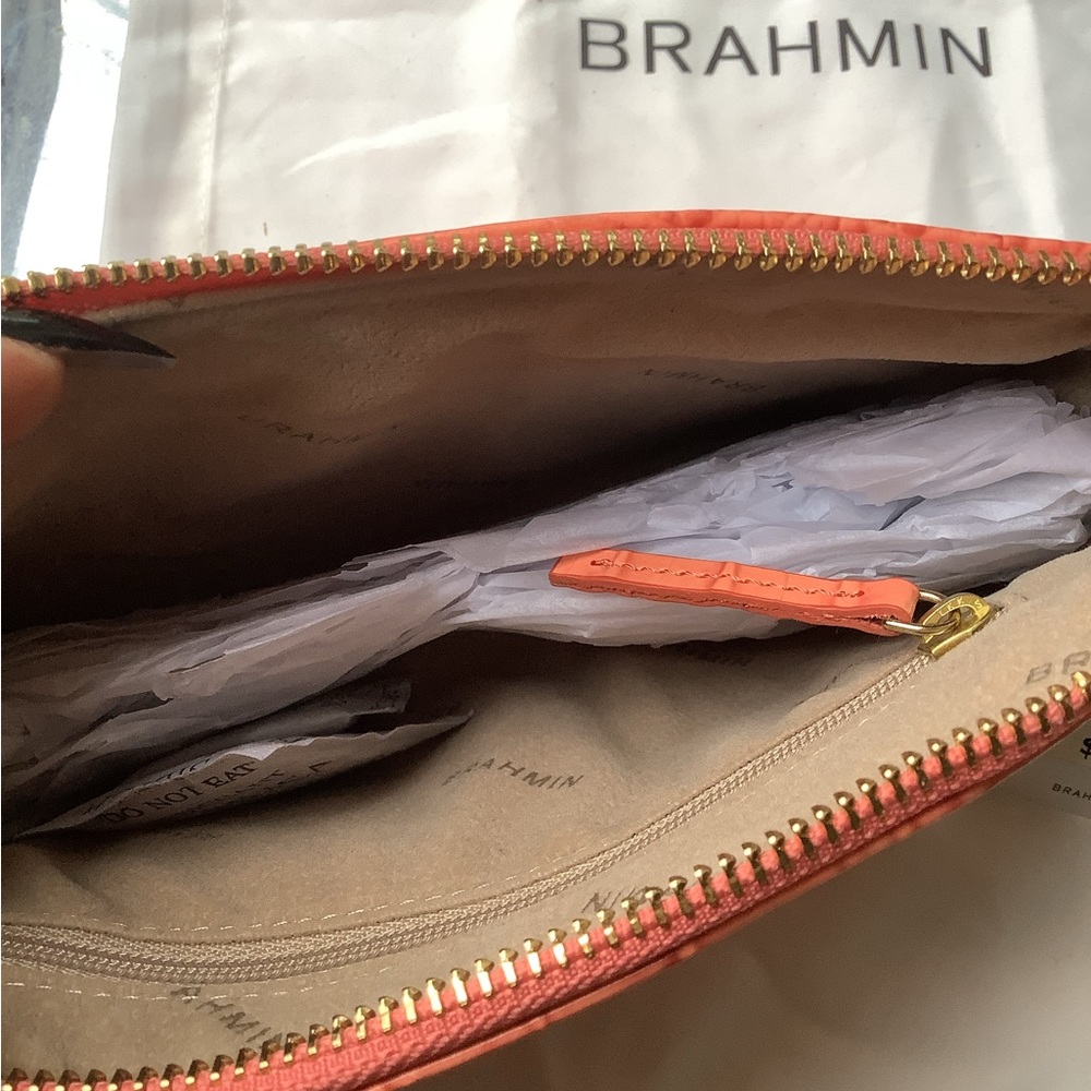 BRAHMIN - Picture 3 of 3